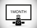 1 Month TV Services Subscription